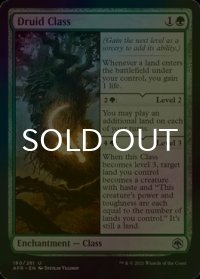 [FOIL] ドルイド・クラス/Druid Class 【英語版】 [AFR-緑U]