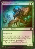 [FOIL] アンダーダークのバジリスク/Underdark Basilisk 【英語版】 [AFR-緑C]