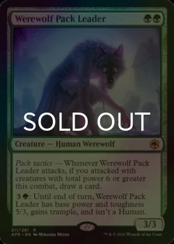 画像1: [FOIL] 群れ率いの人狼/Werewolf Pack Leader 【英語版】 [AFR-緑R]