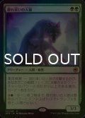 [FOIL] 群れ率いの人狼/Werewolf Pack Leader 【日本語版】 [AFR-緑R]