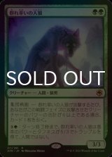 [FOIL] 群れ率いの人狼/Werewolf Pack Leader 【日本語版】 [AFR-緑R]