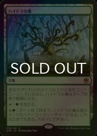 [FOIL] ハイドラの巣/Lair of the Hydra 【日本語版】 [AFR-土地R]