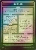 [FOIL] 魂を喰らう墓/TOMB OF ANNIHILATION & アトロパル/THE ATROPAL 【日本語版】 [AFR-トークン]