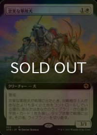 [FOIL] 忠実な軍用犬/Loyal Warhound (拡張アート版) 【日本語版】 [AFR-白R]