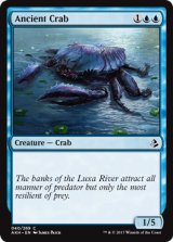 古代ガニ/Ancient Crab 【英語版】 [AKH-青C]