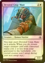 [FOIL] 献身的な門友/Devoted Crop-Mate 【英語版】 [AKH-白U]