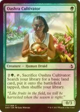 [FOIL] オアシュラの耕作者/Oashra Cultivator 【英語版】 [AKH-緑C]