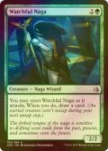 [FOIL] 用心深いナーガ/Watchful Naga 【英語版】 [AKH-緑U]