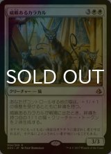 [FOIL] 威厳あるカラカル/Regal Caracal 【日本語版】 [AKH-白R]