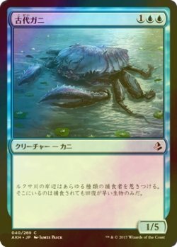 画像1: [FOIL] 古代ガニ/Ancient Crab 【日本語版】 [AKH-青C]