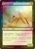 [FOIL] 不気味な徘徊者/Grim Strider 【日本語版】 [AKH-黒U]