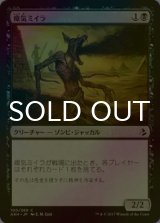 [FOIL] 瘴気ミイラ/Miasmic Mummy 【日本語版】 [AKH-黒C]