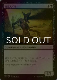 [FOIL] 瘴気ミイラ/Miasmic Mummy 【日本語版】 [AKH-黒C]