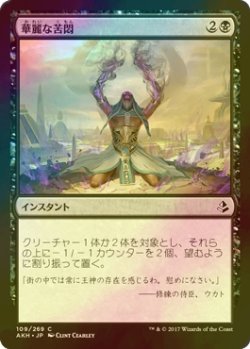 画像1: [FOIL] 華麗な苦悶/Splendid Agony 【日本語版】 [AKH-黒C]