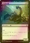 [FOIL] 不毛地の蠍/Wasteland Scorpion 【日本語版】 [AKH-黒C]