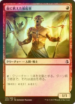 画像1: [FOIL] 血に飢えた振起者/Bloodlust Inciter 【日本語版】 [AKH-赤C]