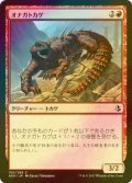 [FOIL] オナガトカゲ/Thresher Lizard 【日本語版】 [AKH-赤C]