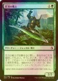 [FOIL] 苦刃の戦士/Bitterblade Warrior 【日本語版】 [AKH-緑C]