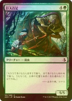 画像1: [FOIL] 巨大百足/Colossapede 【日本語版】 [AKH-緑C]