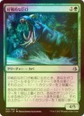 [FOIL] 好戦的な巨口/Defiant Greatmaw 【日本語版】 [AKH-緑U]