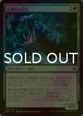 [FOIL] 好戦的な巨口/Defiant Greatmaw 【日本語版】 [AKH-緑U]