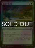 [FOIL] 楽園の贈り物/Gift of Paradise 【日本語版】 [AKH-緑C]
