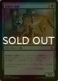 [FOIL] 修練者の相棒/Initiate's Companion 【日本語版】 [AKH-緑C]