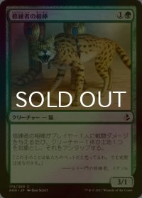 [FOIL] 修練者の相棒/Initiate's Companion 【日本語版】 [AKH-緑C]