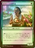 [FOIL] オアシュラの耕作者/Oashra Cultivator 【日本語版】 [AKH-緑C]