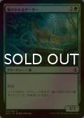 [FOIL] 飛びかかるチーター/Pouncing Cheetah 【日本語版】 [AKH-緑C]