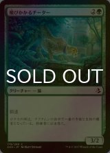 [FOIL] 飛びかかるチーター/Pouncing Cheetah 【日本語版】 [AKH-緑C]
