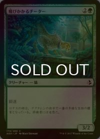 [FOIL] 飛びかかるチーター/Pouncing Cheetah 【日本語版】 [AKH-緑C]