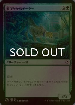 画像1: [FOIL] 飛びかかるチーター/Pouncing Cheetah 【日本語版】 [AKH-緑C]