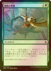 [FOIL] 蜘蛛の掌握/Spidery Grasp 【日本語版】 [AKH-緑C]