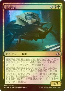 画像1: [FOIL] 潰滅甲虫/Decimator Beetle 【日本語版】 [AKH-金U]