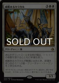 威厳あるカラカル/Regal Caracal 【日本語版】 [AKH-白R]