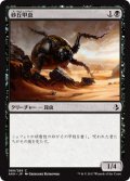 砂丘甲虫/Dune Beetle 【日本語版】 [AKH-黒C]