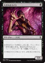 ただれたミイラ/Festering Mummy 【日本語版】 [AKH-黒C]