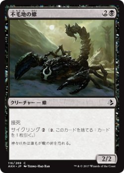 画像1: 不毛地の蠍/Wasteland Scorpion 【日本語版】 [AKH-黒C]