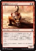 打擲場のマンティコア/Manticore of the Gauntlet 【日本語版】 [AKH-赤C]