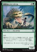 横断地のクロコダイル/Crocodile of the Crossing 【日本語版】 [AKH-緑U]