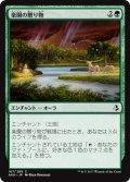 楽園の贈り物/Gift of Paradise 【日本語版】 [AKH-緑C]