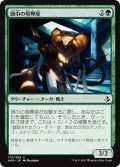 頭巾の喧嘩屋/Hooded Brawler 【日本語版】 [AKH-緑C]