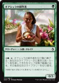 オアシュラの耕作者/Oashra Cultivator 【日本語版】 [AKH-緑C]