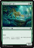 飛びかかるチーター/Pouncing Cheetah 【日本語版】 [AKH-緑C]