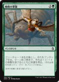 蜘蛛の掌握/Spidery Grasp 【日本語版】 [AKH-緑C]