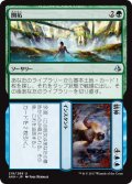 開拓 + 精神/Spring + Mind 【日本語版】 [AKH-金U]