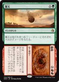 驚天 + 動地/Heaven + Earth 【日本語版】 [AKH-金R]