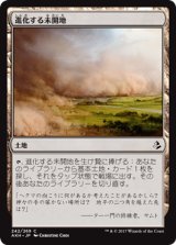 進化する未開地/Evolving Wilds 【日本語版】 [AKH-土地C]