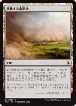 画像1: 進化する未開地/Evolving Wilds 【日本語版】 [AKH-土地C]